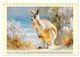 Thumbnail-4