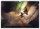 Thumbnail-14