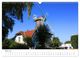 Thumbnail-7