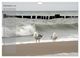 Thumbnail-11