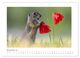 Thumbnail-12