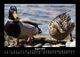 Thumbnail-12