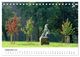 Thumbnail-11