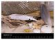 Thumbnail-10