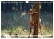 Thumbnail-11