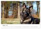 Thumbnail-11