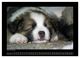 Thumbnail-14
