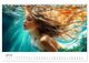 Thumbnail-12