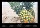 Thumbnail-11