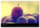 Thumbnail-13