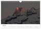Thumbnail-11