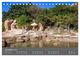 Thumbnail-14