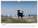 Thumbnail-11
