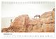 Thumbnail-11