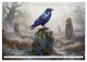 Thumbnail-8