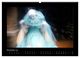 Thumbnail-12