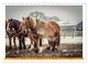 Thumbnail-14