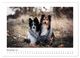 Thumbnail-12