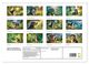 Thumbnail-9