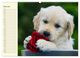 Thumbnail-11
