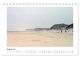 Thumbnail-13