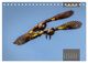 Thumbnail-7