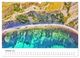 Thumbnail-12