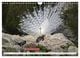 Thumbnail-9