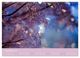 Thumbnail-14