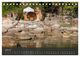 Thumbnail-14