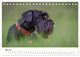 Thumbnail-10