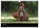 Thumbnail-13