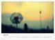 Thumbnail-12