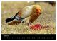Thumbnail-8