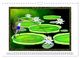 Thumbnail-11
