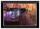 Thumbnail-14