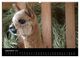 Thumbnail-14
