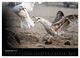 Thumbnail-14