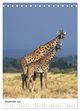 Thumbnail-14
