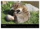 Thumbnail-11