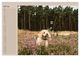 Thumbnail-12