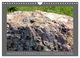 Thumbnail-11
