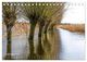 Thumbnail-11