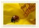 Thumbnail-14