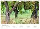 Thumbnail-14