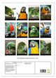 Thumbnail-2