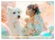 Thumbnail-12