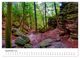 Thumbnail-11