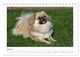 Thumbnail-12