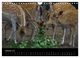 Thumbnail-12